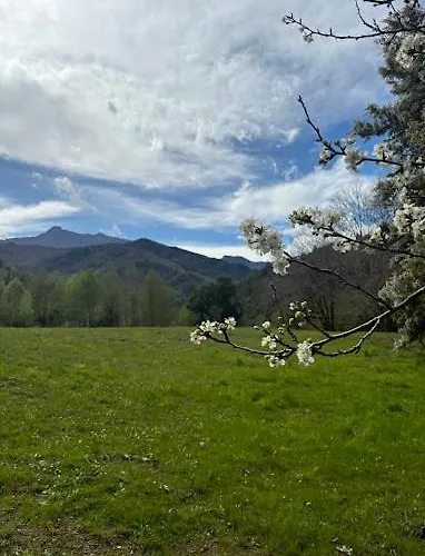 Les Prairies * Scata